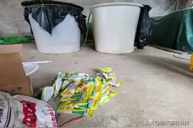 广西一千多头母猪复养成功案例，用发酵中草药有详细介绍运用方法图片