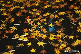 广西退休人员去世，遗属待遇2021年9月执行新政策图片