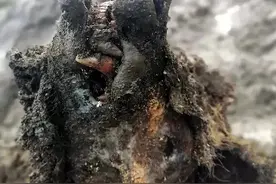 在冰川中活了15000年，青藏高原发现古老病毒，其中28种从未见过图片