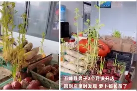 入春后，这4种菜不要钱也别买！伤肠胃还不健康，第二个最常见！图片