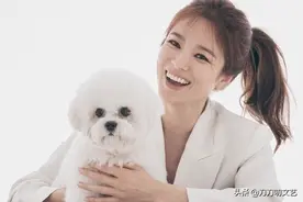 世纪复合添新锤？宋慧乔视频出现玄彬身影，疑似依偎散步照片曝光图片