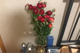 房东换锁敲锣赶人？“蛋壳人”的结局反转了图片