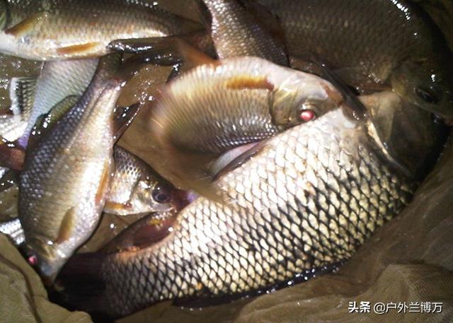 想自制钓鱼小药的看过来，手把手教你，学会以后不用花钱买了