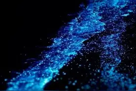 国内最梦幻的荧光海，何止美丽，更可以去这几个海岛渔村逛吃一趟图片