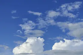 夏日乡村果实图片