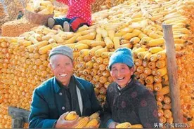 历史真相：安徽凤阳县包产到户后粮食增长49%卖给国家4450万千克图片