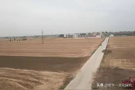 麦田中的拾穗者图片