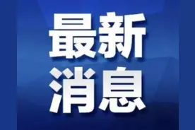 东西湖区6月9日小学新生网上登记，30日公布公办学校划片范围图片