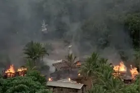 影视：100%死亡率，致命病毒席卷美国，罪魁祸首竟是一只猴子图片