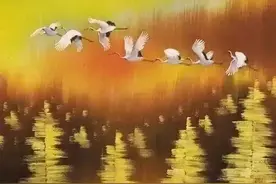 云中松鹤每日感悟（二十二）人类感知世界的五大器官，多人在闲置图片