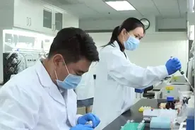 人工淀粉合成技术究竟是什么？为什么说它可以影响整个世界？图片
