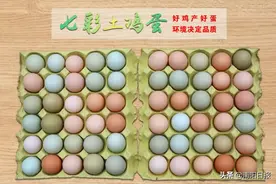 南阳家乡味儿⑥：宛城有“彩蛋”，美名扬四方图片