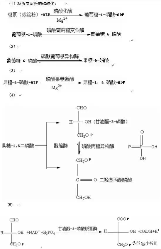 最古老的的化学——酿酒工艺