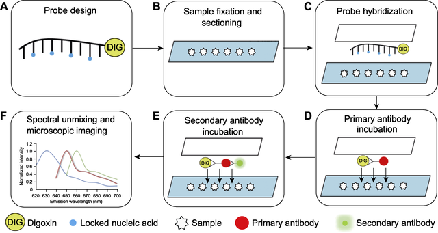 期刊阅读：植物学报，2021年，第3期