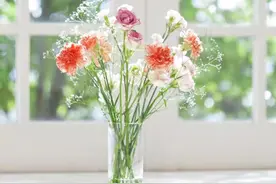 垃圾情绪，不如沉默图片