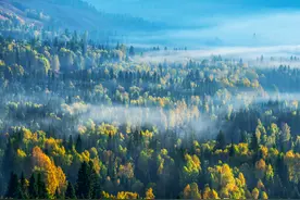 山东省泰安新泰2020学年九年级下学期期中语文试题（解析版）图片