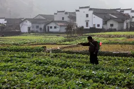 学生要求老师帮忙的时候，老师应该怎么做？能帮就帮图片