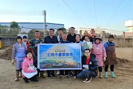 聚焦出口43个国家的罗平小黄姜“云岭小康展画卷”直播全网阅读过2亿图片