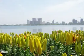 城市里看城市化，连云港东海县城市化进程视频封面