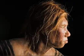 300万年前，第一个人类身份确定！问题是，他的父母是人类吗？图片