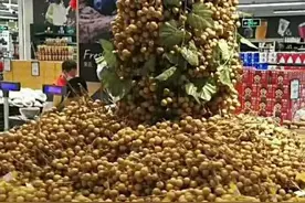 如何逐个击破龙眼易产生损耗的环节？图片