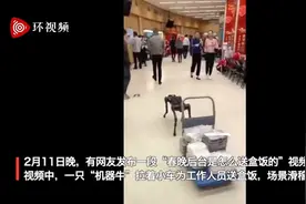 春晚“机器牛”幕后视频逗笑网友：场上卖力表演，场下“卸妆”送盒饭图片