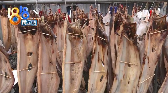 一斤鲜鳗鱼出多少鳗鱼干 2026年一斤鲜鳗鱼出多少鳗鱼干正常