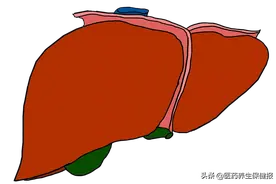 吃好早餐可防胆固醇结晶图片