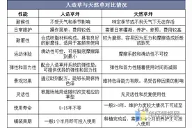 2019年全球人造草坪行业现状分析，市场前景广阔「图」图片