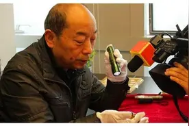 一女子带玉蝉鉴宝，说已经佩戴十年，专家：你真是大胆图片