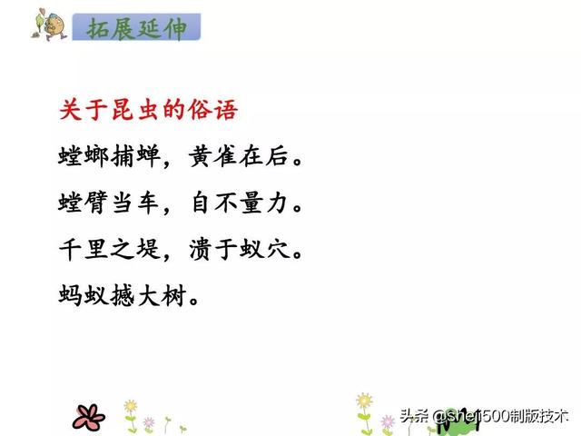 部编语文二年级（下）《我是一只小虫子》知识点、练习