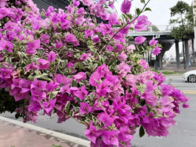 花呗逾期罚息是利滚利么，花呗逾期罚息是利滚利么还是利息 配图03