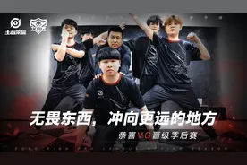 KPL：DYG锁定胜者组，VG锁定最后一个名额，eStar无缘季后赛图片