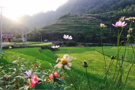 恭喜！邵阳这个村入选全国乡村旅游重点村镇（乡）！图片