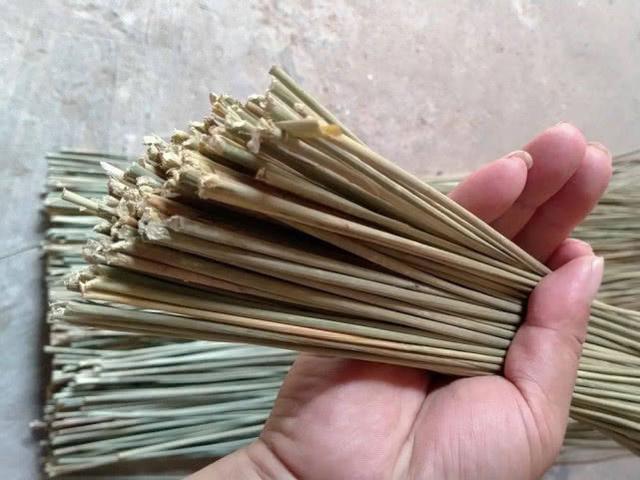 有一种野草，过去用它做蜡烛芯，如今当药材种植百元一斤