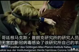 重磅新闻：新冠抗体提高千倍！来自大自然的“相生相克”生物链图片