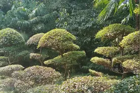 高档洗浴城究竟啥样？总算见识一回图片