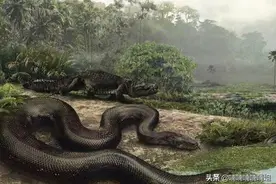 龙的进化七个阶段，蛇为第一阶段/金龙为最后阶段（一步一世界）图片