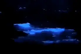 “蓝眼泪”又刷屏！福州两地可看！图片