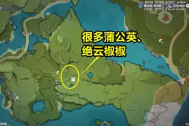 原神：口袋锚点放哪儿最好？螃蟹岛不是最优解，这三地方更加合适图片