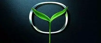 ɻ֪ʮ߻