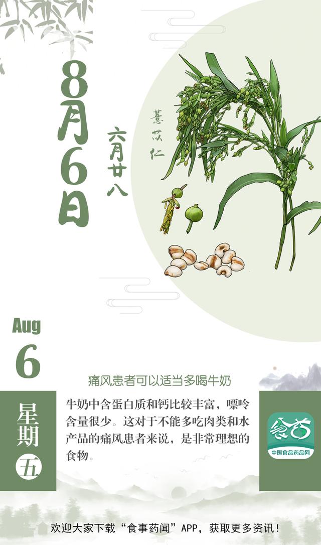 痛风能喝牛奶吗（早安｜小科普痛风患者可以适当多喝牛奶）
