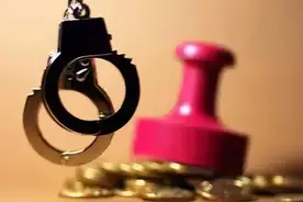 对抗组织审查，不只“亿元局长”一人图片