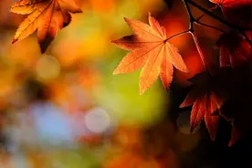 女人爱你，却不主动靠近你，多半是这些原因图片