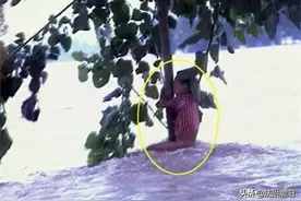 23年前洪水中的“抱树女孩”，如今选择了这个职业……图片