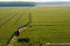 全国征收农用地区片综合地价数据库已上线，你家的地值多少钱？图片