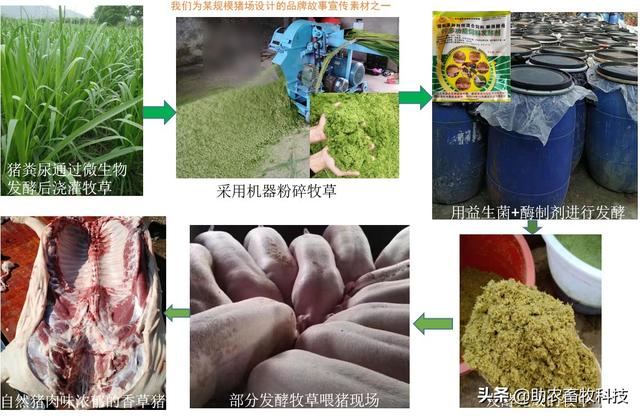 如何批量化生产高品质让消费者认可的“土味十足”动物产品