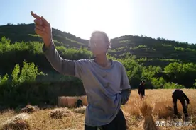 河南农民大哥割麦子6个小时，早饭吃凉馒头和洋葱，让人心酸图片