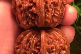 盘核桃不再需要3冬2夏了，这6种文玩核桃，上色包浆贼快图片