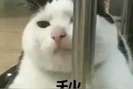 压力/焦虑/抑郁统统走开！小布送上这份解压清单，助你快速relax→图片